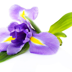 Event Home: The CJD Foundation Family Conference